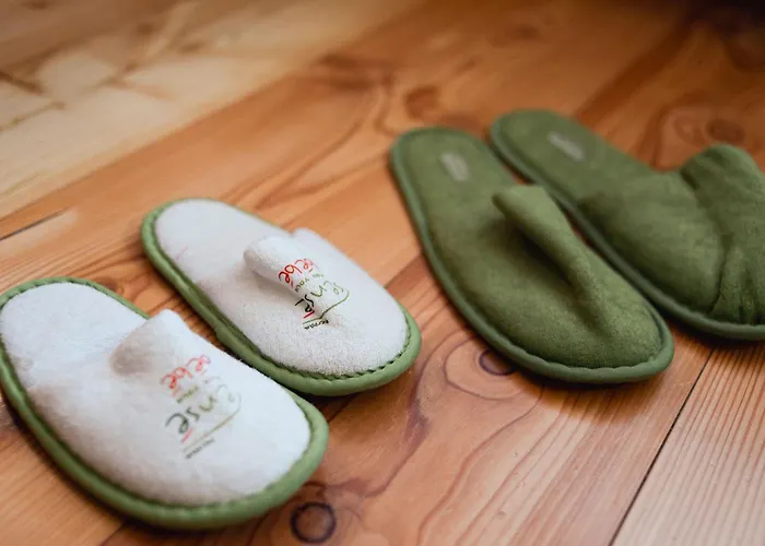 Hotel Bouton D'or 3*