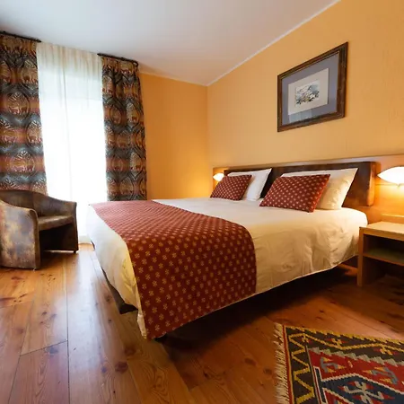 Hotel Bouton D'or - 3*