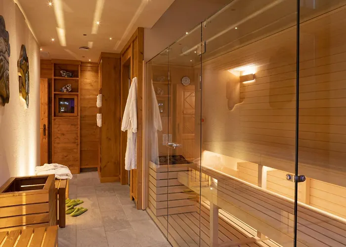 Bouton D'or 3* 库马约尔